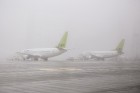 Šis ir jau devītais gads, kopš aviokompānija airBaltic piedalās Ēnu dienā 7