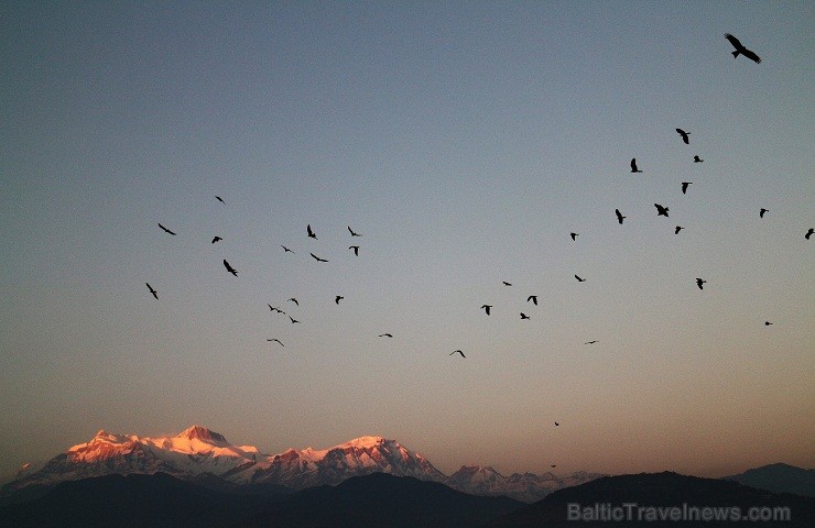 Putnu pavadīts saulriets Himalajos. Pokhara, Nepāla 143976