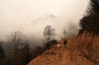 Tūristu galvenā piesaiste – pārgājieni Himalaju reģionā. Pārgājiens uz Sandakphu, Nepāla 11