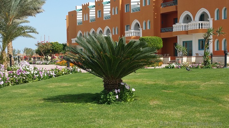 Travelnews.lv redakcija sadarbībā ar tūroperatoru GoAdventure iepazīst Hurgadas viesnīcas «Sentido Mamlouk Palace» un «Sunrise Select Garden Beach Res 144939