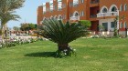 Travelnews.lv redakcija sadarbībā ar tūroperatoru GoAdventure iepazīst Hurgadas viesnīcas «Sentido Mamlouk Palace» un «Sunrise Select Garden Beach Res 6