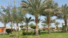 Travelnews.lv redakcija sadarbībā ar tūroperatoru GoAdventure iepazīst Hurgadas viesnīcas «Sentido Mamlouk Palace» un «Sunrise Select Garden Beach Res 8