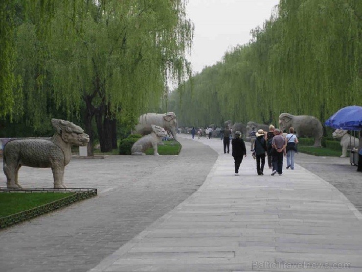 Travel RSP piedāvā fotostāstu par Pekinas pavasarīgajiem pārsteigumiem 145304