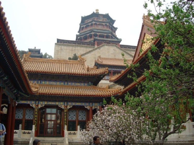 Travel RSP piedāvā fotostāstu par Pekinas pavasarīgajiem pārsteigumiem 145308
