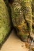 Cīrulīšu dabas takas aicina apciemot Gauju un iepazīt tās vēsturi 30