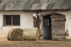 Burtnieku zirgaudzētava ir vecākā zirgaudzētava Latvijā 18