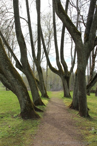 Travelnews.lv redakcija apciemo skaisto Ungurmuižu un piedalās sezonu noslēdzošajā pavārmākslas meistarklasē ar pavārēm no Vinetas un Allas Kārumlādes Travelnews.lv redakcija apciemo skaisto Ungurmuižu un piedalās sezonu noslēdzošajā pavārmākslas meistarklasē ar pavārēm no Vinetas un Allas Kārumlādes 148175