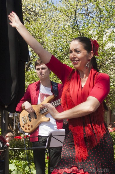 Spānijas diena Kalnciema kvartālā pulcē flamenko deju cienītājus 148429
