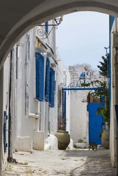 Travelnews.lv redakcija apskata populāro Sidi Bou Said pilsētu Tunisijā 150654