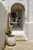 Travelnews.lv redakcija apskata populāro Sidi Bou Said pilsētu Tunisijā 8