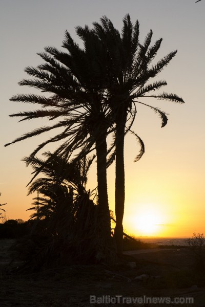 Travelnews.lv redakcija sadarbībā ar starptautisko tūroperatoru Novatours vēro burvīgu saulrietu Tunisijas pilsētas Monastir pievārtē 151245