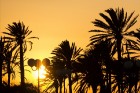 Travelnews.lv redakcija sadarbībā ar starptautisko tūroperatoru Novatours vēro burvīgu saulrietu Tunisijas pilsētas Monastir pievārtē 1