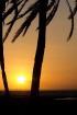Travelnews.lv redakcija sadarbībā ar starptautisko tūroperatoru Novatours vēro burvīgu saulrietu Tunisijas pilsētas Monastir pievārtē 8