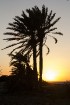 Travelnews.lv redakcija sadarbībā ar starptautisko tūroperatoru Novatours vēro burvīgu saulrietu Tunisijas pilsētas Monastir pievārtē 9