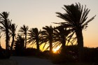 Travelnews.lv redakcija sadarbībā ar starptautisko tūroperatoru Novatours vēro burvīgu saulrietu Tunisijas pilsētas Monastir pievārtē 10