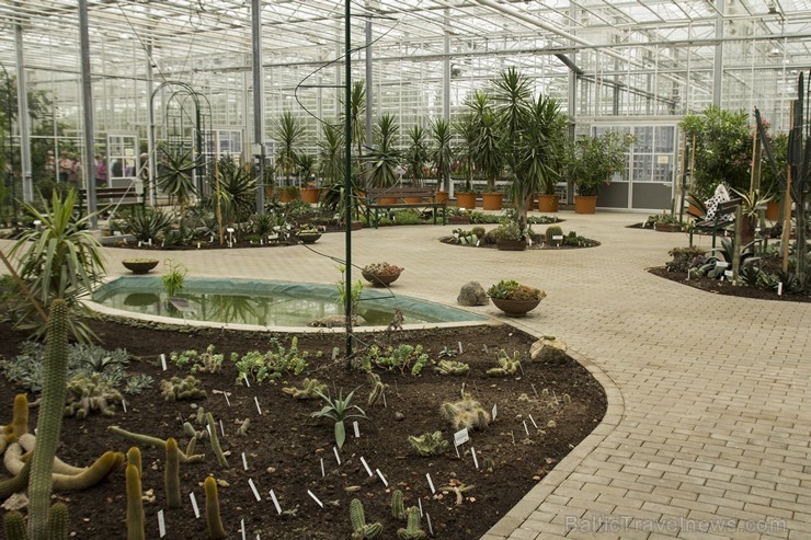 Nacionālā botāniskā dārza jaunajā oranžērijā var aplūkot vairāk nekā 2100 augu dažādības 151769