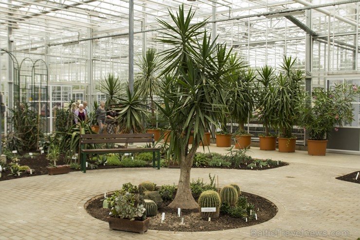 Nacionālā botāniskā dārza jaunajā oranžērijā var aplūkot vairāk nekā 2100 augu dažādības 151770