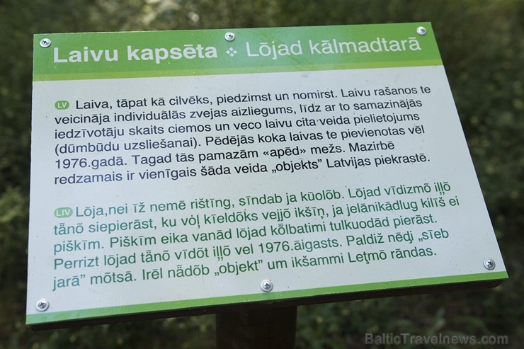 Mazirbes laivu kapsēta ir vienīgais šāda tipa apskates objekts Latvijas piekrastē 158218