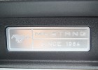 Travelnews.lv redakcija divas dienas ceļo ar jauno un leģendāro Ford Mustang Ungārijā 42