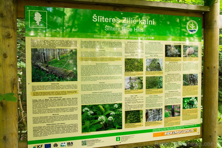 Slīteres dabas takā var iepazīt šai vietai raksturīgus Eiropas nozīmes aizsargājamus biotopus 159122