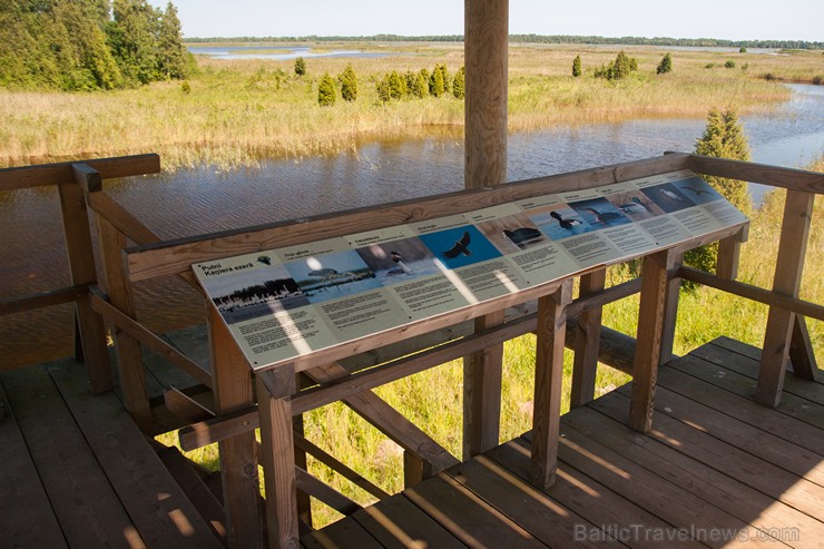 Kaņiera ezers ar putnu vērošanas torni ir viena no labākajām putnu vērošanas vietām 159175