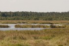 Kaņiera ezers ar putnu vērošanas torni ir viena no labākajām putnu vērošanas vietām 12