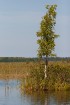 Kaņiera ezers ar putnu vērošanas torni ir viena no labākajām putnu vērošanas vietām 17