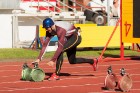 Baltijas valstu čempionāts ugunsdzēsības sportā pulcē ātrākos ugunsdzēsības sportistus 8