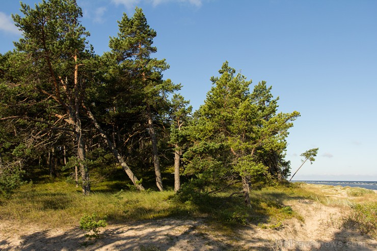 Kolkas priežu dabas taka atrodas Baltijas jūras krastā pie Kolkasraga. Dabas takā var iepazīties ar kāpu pārmaiņām laika gaitā 159295