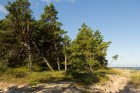 Kolkas priežu dabas taka atrodas Baltijas jūras krastā pie Kolkasraga. Dabas takā var iepazīties ar kāpu pārmaiņām laika gaitā 1