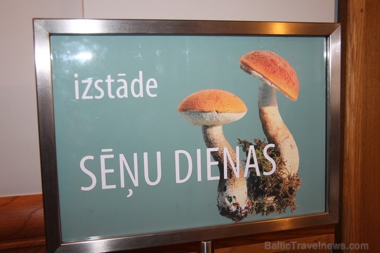 Izstādē apskatāmas Latvijas dabā, galvenokārt Rīgas, Ogres un Tukuma apkārtnē, ievāktās ēdamās, indīgās un reti sastopamās sēnes. Izstādē apskatāmas Latvijas dabā, galvenokārt Rīgas, Ogres un Tukuma apkārtnē, ievāktās ēdamās, indīgās un reti sastopamās sēnes. 161309