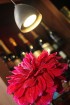 Vecrīgas viesnīcas restorāns «Mazais Otto» pošas romantiskajai rudens un ziemas sezonai 31