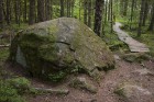 Apsūnojušie, ar mežu apaugušie vaļņveidīgie pasaules tapšanas liecinieki veidojušies pirms vairākiem tūkstošiem gadu, atkāpjoties Baltijas ledus ezera 1