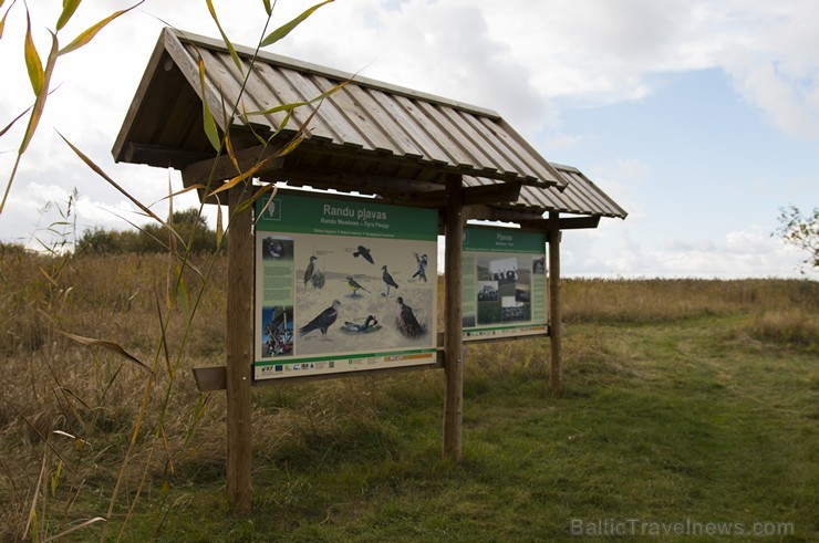 Randu pļavas ir starptautiski atzīta putnu migrācijas un ligzdošanas vieta 163560