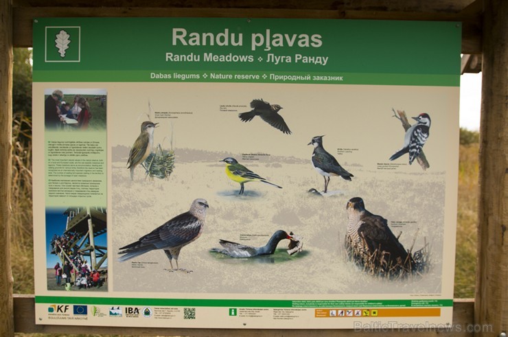 Randu pļavas ir starptautiski atzīta putnu migrācijas un ligzdošanas vieta 163561