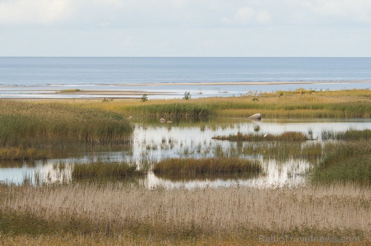 Randu pļavas ir starptautiski atzīta putnu migrācijas un ligzdošanas vieta 163581