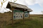 Randu pļavas ir starptautiski atzīta putnu migrācijas un ligzdošanas vieta 5