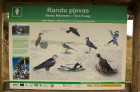 Randu pļavas ir starptautiski atzīta putnu migrācijas un ligzdošanas vieta 6