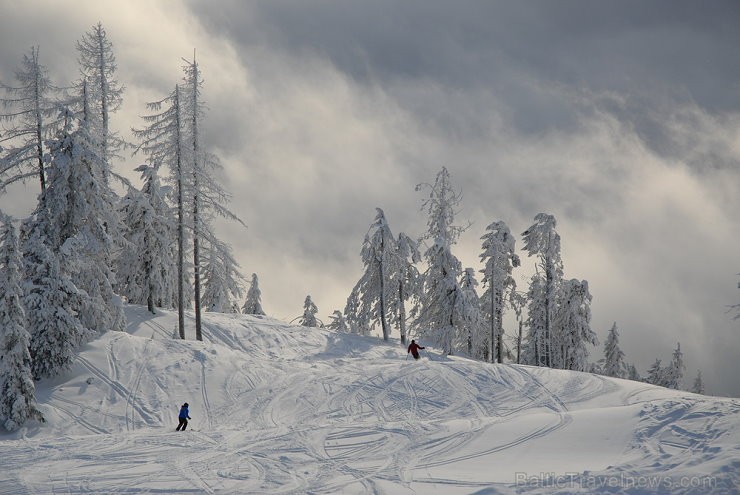 Kanādas pilsēta Rossland ir ideāla vieta ziemas priekiem 165241