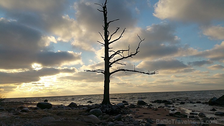 Viens no skaistākajiem Latvijas pārgājiena maršrutiem Vidzemes jūrmalā ir Tūja - Veczemju klintis 166989