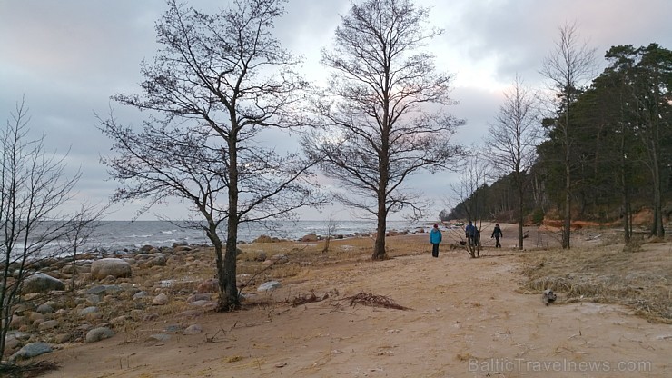 Viens no skaistākajiem Latvijas pārgājiena maršrutiem Vidzemes jūrmalā ir Tūja - Veczemju klintis
