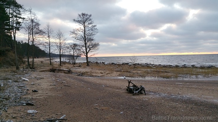 Viens no skaistākajiem Latvijas pārgājiena maršrutiem Vidzemes jūrmalā ir Tūja - Veczemju klintis 167003