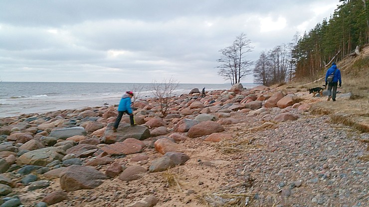Viens no skaistākajiem Latvijas pārgājiena maršrutiem Vidzemes jūrmalā ir Tūja - Veczemju klintis