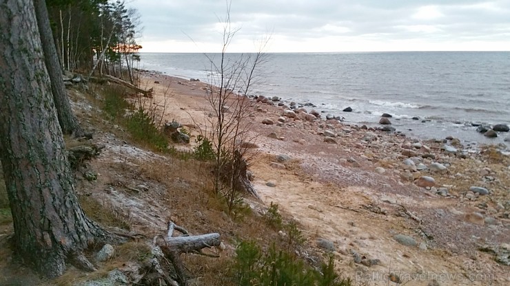 Viens no skaistākajiem Latvijas pārgājiena maršrutiem Vidzemes jūrmalā ir Tūja - Veczemju klintis 167012