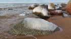 Viens no skaistākajiem Latvijas pārgājiena maršrutiem Vidzemes jūrmalā ir Tūja - Veczemju klintis 4