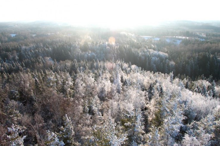 Travelnews.lv apskata Lielo Liepu kalnu ziemas burvībā 167045