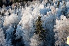 Travelnews.lv apskata Lielo Liepu kalnu ziemas burvībā 19