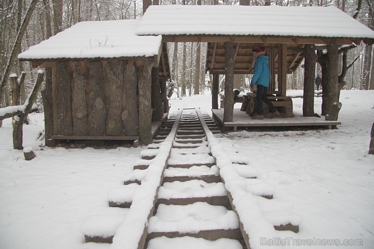 Travelnews.lv apciemo Tērvetes dabas parku ziemas apstākļos 167200