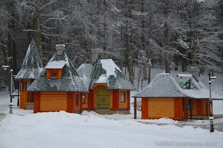Travelnews.lv apciemo Tērvetes dabas parku ziemas apstākļos 167207