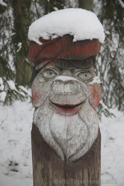 Travelnews.lv apciemo Tērvetes dabas parku ziemas apstākļos 167213